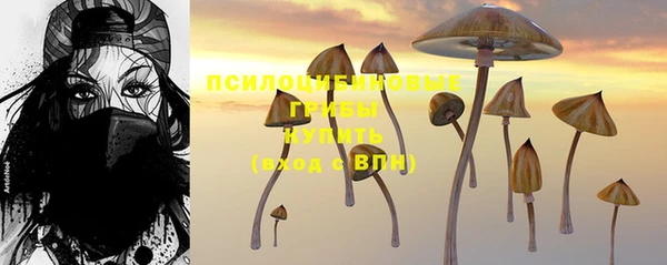 таблы Аркадак
