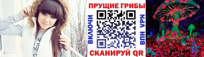 Псилоцибиновые грибы Psilocybe  ссылка на мегу ONION  Петровск 