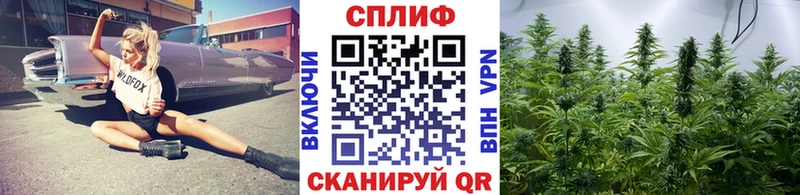 даркнет сайт  mega онион  Канабис OG Kush  Петровск 
